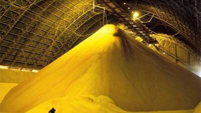 Порти України: за 11-14 лютого спостерігається рекордний експорт зернових - hubs.ua - Україна