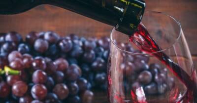 Красное вино спасает от COVID-19. Ученые рассказали, стоит ли верить данным нового исследования - focus.ua - Украина - Англия - Австралия - county Frontier