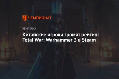 Китайские игроки громят рейтинг Total War: Warhammer 3 в Steam