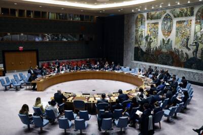 Украина обратилась в Совбез ООН из-за постановления Госдумы признать "ЛДНР"