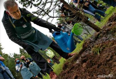 Экоотряду из Тихвинского района помогут с саженцами для посадки деревьев