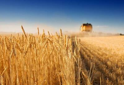В Украине создали Фонд гарантирования кредитов аграриям