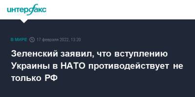 Зеленский заявил, что вступлению Украины в НАТО противодействует не только РФ