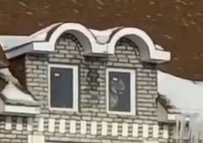 Очевидцы засняли в окне жилого дома в Дягилеве тигра - ya62.ru - Рязань