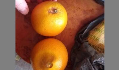 Тюменские родители пожаловались на фрукты для школьников