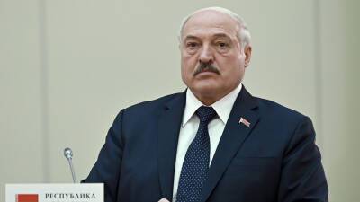 Лукашенко: решение вопроса о признании ДНР и ЛНР будет совместным с Россией