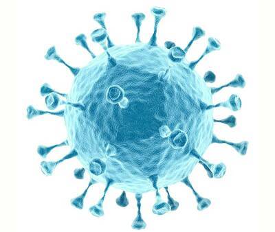 Ученые спрогнозировали, когда в России начнется шестая волна коронавируса
