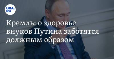 Кремль: о здоровье внуков Путина заботятся должным образом