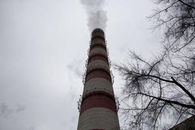 Жительница Новосибирска рассказала об обострении астмы из-за грязного воздуха