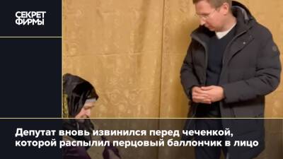Депутат вновь извинился перед чеченкой, которой распылил перцовый баллончик в лицо