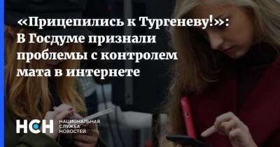 «Прицепились к Тургеневу!»: В Госдуме признали проблемы с контролем мата в интернете