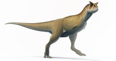 "Безрукий" динозавр. Палеонтологи нашли останки хищника без развитых верхних конечностей