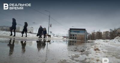 В выходные в Татарстане ожидается до +2 градусов, мокрый снег и метели