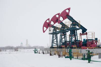«Башнефть» в 2021 году восполнила запасы нефти на 305%