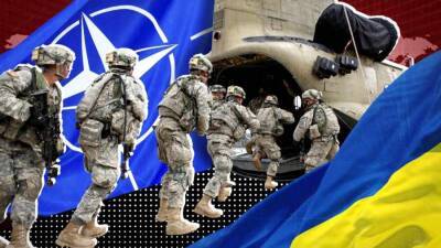 Немцы обвинили НАТО в эскалации конфликта вокруг Украины