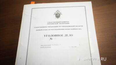 По факту нападения подростков на мать и дочь возбуждено еще одно уголовное дело