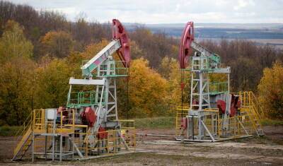 За год «Башнефть» восполнила запасы нефти на 305%