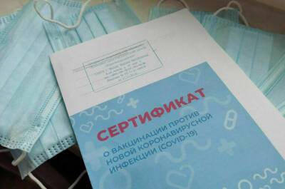 В России возбудили 900 дел о продаже сертификатов о вакцинации