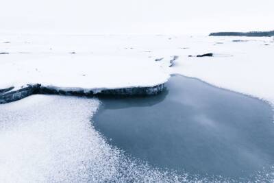 Из-за резкого потепления петербуржцев призвали не выходить на лед
