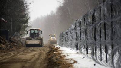 Депутат Белик назвал нелепыми планы построить стену на границе Польши и России