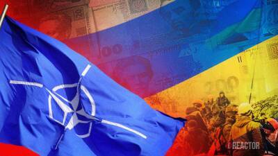 Эксперт по внешней политике Коктыш заявил, что вся Европа против вступления Украины в НАТО