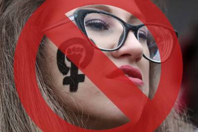 В Совфеде РФ предложили запретить пропаганду радикального феминизма и движения «чайлдфри» в интернете - Русская семерка