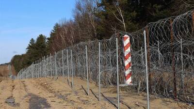 В Госдуме отреагировали на планы Польши построить забор на границе с Россией