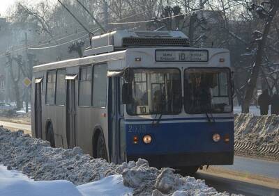 Начальник управления транспорта администрации Рязани рассказал о продлении троллейбусной сети