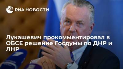 Постпред при ОБСЕ Лукашевич: окончательное решение по признанию ДНР и ЛНР примет президент