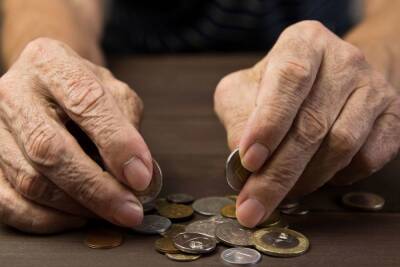 Какие выплаты могут потерять российские пенсионеры после проверки ПФР