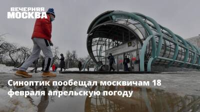Синоптик пообещал москвичам 18 февраля апрельскую погоду