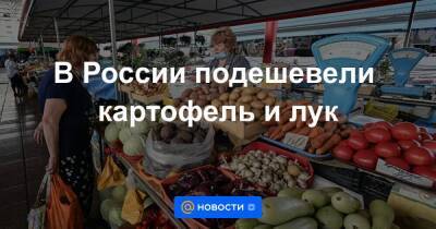 В России подешевели картофель и лук