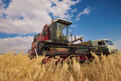 Игорь Руденя: кредиты для сельского хозяйства должны быть более доступны