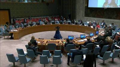 Урегулирование украинского кризиса обсудил Совет Безопасности ООН