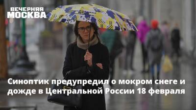 Синоптик предупредил о мокром снеге и дожде в Центральной России 18 февраля