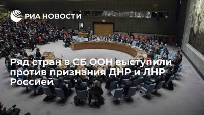 На заседании СБ ООН представители шести стран выступили против признания ДНР и ЛНР Россией