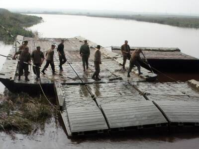 Мост через Припять, построенный военными в Беларуси, демонтировали – СМИ