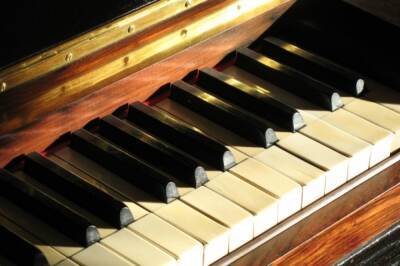 Хабаровчанка лишилась 75 тыс рублей при покупке пианино чрез интернет