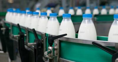 В Беларуси производство молока за пять лет выросло на 11 %