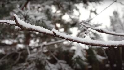Дождь, снег и ветер: Укргидрометцентр предупредил об ухудшении погоды в пятницу