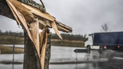 Несколько человек погибли в результате урагана «Иления» в Германии - enovosty.com - Германия - Берлин - земля Саксония-Анхальт