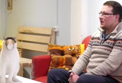 Любопытный кот из кафе в Гатчине застрял мордой в стакане во время интервью и стал звездой Сети
