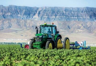 Туркменистан и Великобритания обсуждают возможности сотрудничества в сфере сельского хозяйства