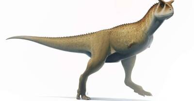 В Аргентине впервые обнаружены останки гигантского "безрукого" динозавра