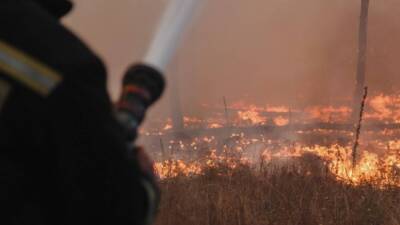 Члены ООН посчитали пожары и шумовое загрязнение наибольшими угрозами для человечества