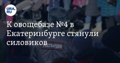 К овощебазе №4 в Екатеринбурге стянули силовиков. Фото