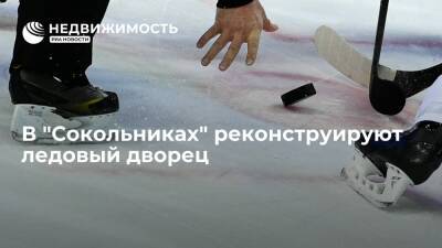 Ледовый дворец в московском парке "Сокольники" реконструируют