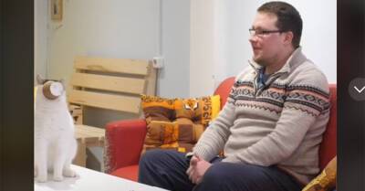 Курт Зума - Кот Слоник залез в стакан во время интервью с хозяином и стал звездой соцсетей - kp.ua - Россия - Украина
