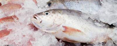Врач Михалева рассказала о риске высокого содержания ртути в некоторых видах рыб