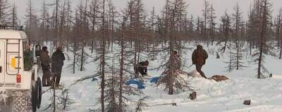 На Таймыре у браконьеров нашли сотни туш незаконно убитых оленей